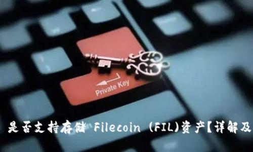 Tokenim 是否支持存储 Filecoin (FIL)资产？详解及使用指南