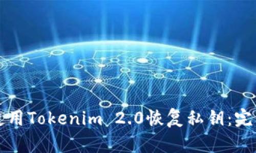 如何使用Tokenim 2.0恢复私钥：完整指南