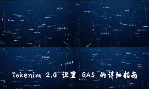 Tokenim 2.0 设置 GAS 的详细指南