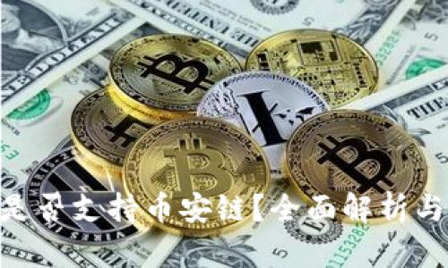 Tokenim是否支持币安链？全面解析与使用指南