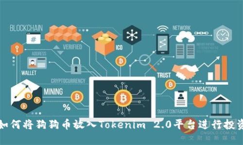 如何将狗狗币放入Tokenim 2.0平台进行投资