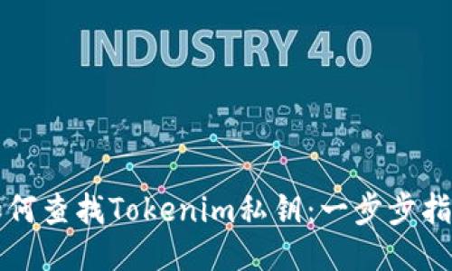如何查找Tokenim私钥：一步步指南